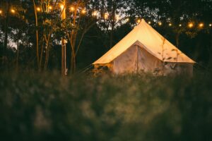 Red Woodpecker offering Bell tent hire Suffolk