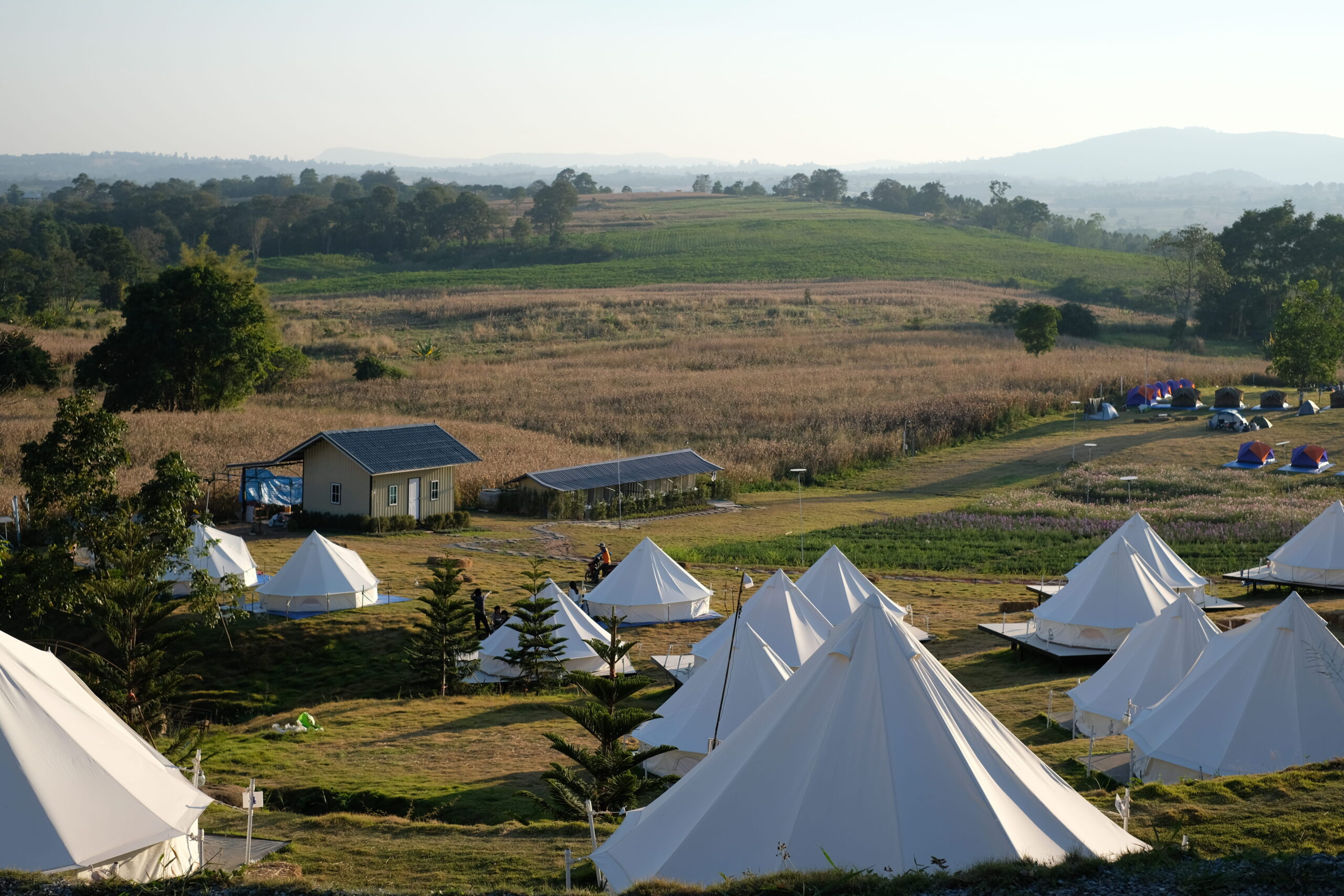 Bell tent glamping hire setup with multiple tents arranged across a countryside event site
